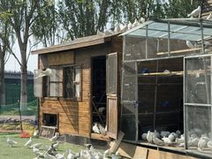 -长白岛森林公园