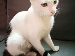 -一品格美术·中考高中成人美术培训