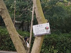 -广州市白云山风景名胜区