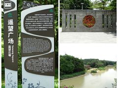 -广东花都湖国家湿地公园
