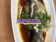-海晖酒楼·顺德鱼生(荣华店)