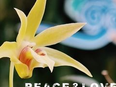 -北京植物园-展览温室