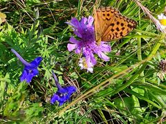 -白草畔自然风景区