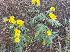 -云峰山自然风景区