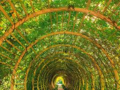 -郑州植物园