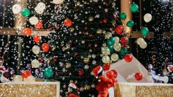 -中谷小南国花园酒店·宴会厅