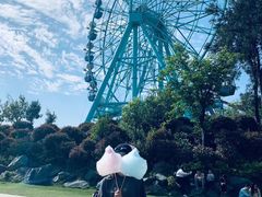 -南京银杏湖乐园