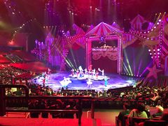 -珠海横琴长隆《卡卡虎奇遇记》