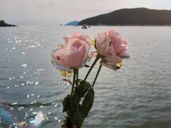 -宁波松兰山滨海旅游度假区