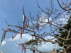 -鹿回头风景区