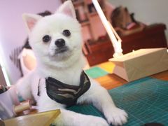 -零几体验diy皮具工作室(振业城店)