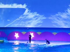 -南昌融创海世界
