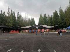 -东平国家森林公园