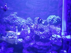 -石林冰雪海洋世界