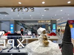 -SONY指定店(虹口龙之梦店)