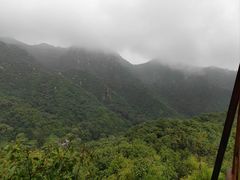 -大岭沟猕猴桃谷风景区