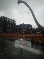 -恐龙探索乐园(磁器口店)