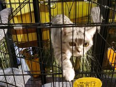 -蜜蜂家的红茶馆(华府店)