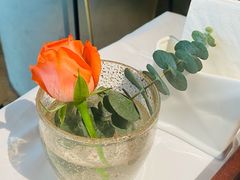 -佐度王子扒房(爱建卓展店)