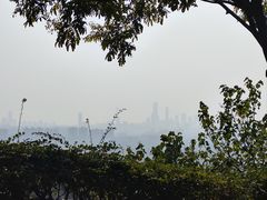 -火炉山森林公园