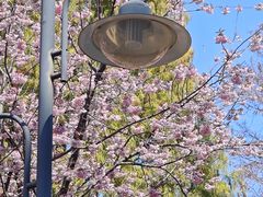 -云南师范大学(一二一西南联大校区)