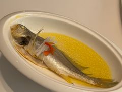 清蒸小黄鱼-湖锦酒楼·30年经典湖北菜(光谷店)