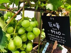 -天王寺公园