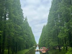 -黄海国家森林公园