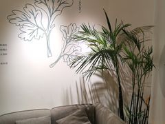 -左悦·艾灸调理·推拿按摩·精油SPA(卓悦汇店)