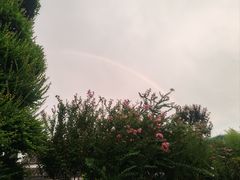 -武汉紫薇都市田园