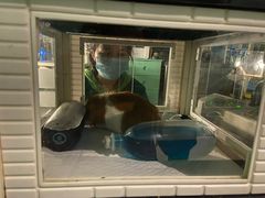 -雨林宠物医院 非犬猫异宠专科