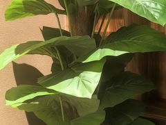 -和悦SPA·采耳(聚丰园路店)