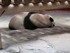 -杭州野生动物世界