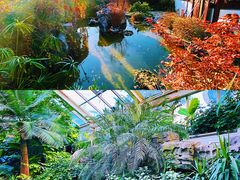 -沉浸北京·团建旅行·密室剧本杀·年会会议轰趴拓展