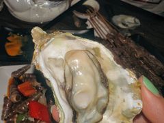-土蚝·高压锅生蚝(百姓美食街店)