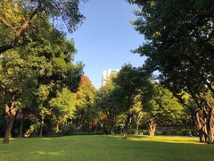 -晓港公园