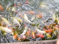 -月牙潭公园