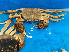 -星伦多海鲜自助餐厅(海陵金鹰店)