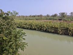 -泗洪洪泽湖湿地景区