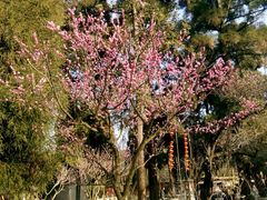 -昆明滇池国家级风景名胜区西山景区