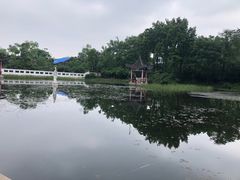 -青龙山国家森林公园