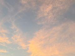 -太湖饭店玉兰厅(自助餐厅)