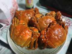 阳澄湖大闸蟹-黄记大闸蟹专卖店·活蟹·醉蟹