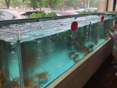 -香融府·烤鸭·家常菜(马家堡路店)