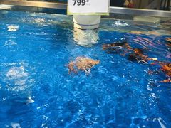 -盒马鲜生(杭州运河上街店)