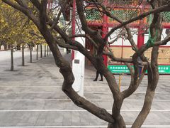 -西宁市东关清真大寺