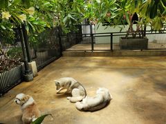 -TrueLove @ Neverland (Husky Cafe)