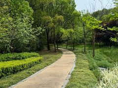 -昆山城市生态森林公园