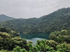 -鼎湖山风景区