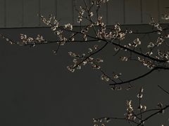-无锡梅园公园